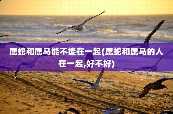 属蛇和属马能不能在一起(属蛇和属马的人在一起,好不好)