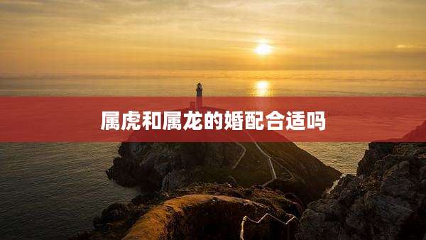 属虎和属龙的婚配合适吗