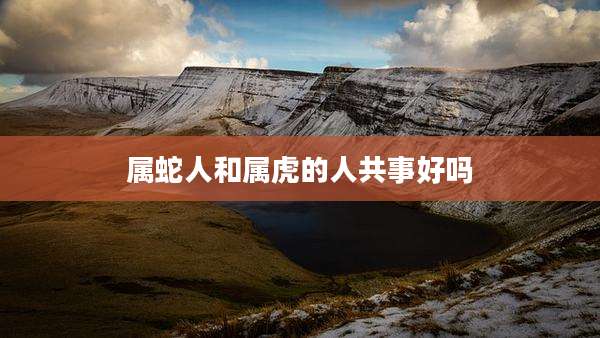 属蛇人和属虎的人共事好吗