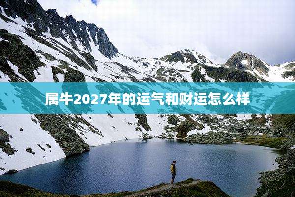 属牛2027年的运气和财运怎么样