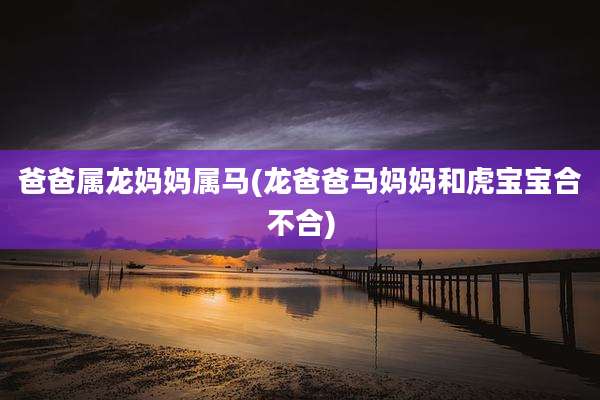 爸爸属龙妈妈属马(龙爸爸马妈妈和虎宝宝合不合)