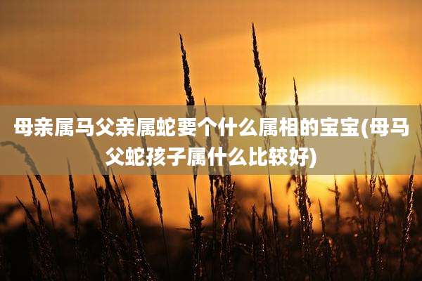 母亲属马父亲属蛇要个什么属相的宝宝(母马父蛇孩子属什么比较好)