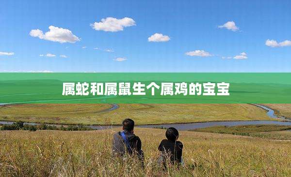 属蛇和属鼠生个属鸡的宝宝