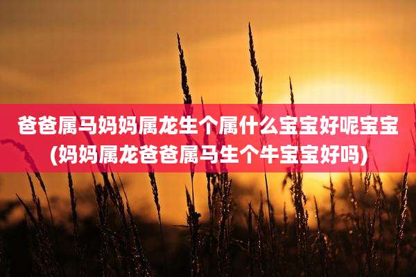 爸爸属马妈妈属龙生个属什么宝宝好呢宝宝(妈妈属龙爸爸属马生个牛宝宝好吗)
