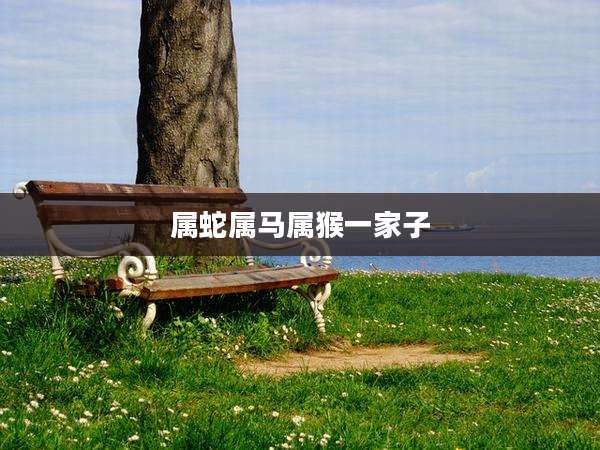 属蛇属马属猴一家子