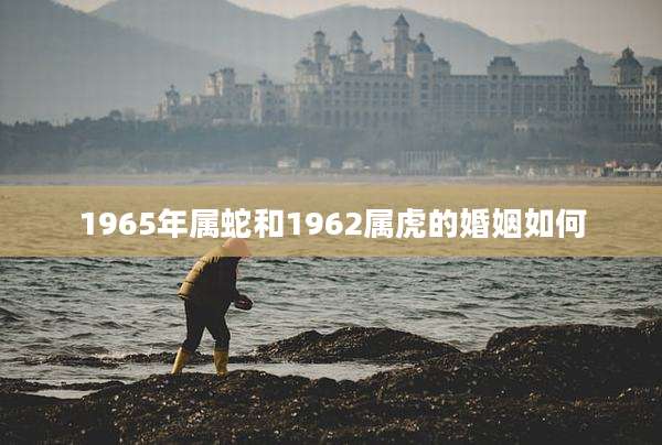 1965年属蛇和1962属虎的婚姻如何