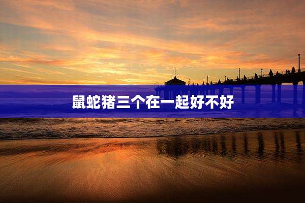 鼠蛇猪三个在一起好不好