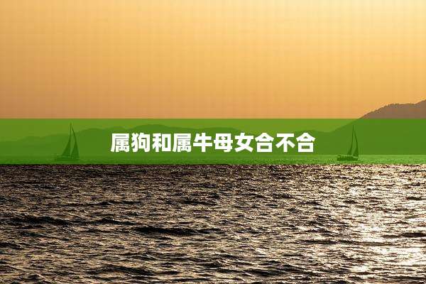 属狗和属牛母女合不合