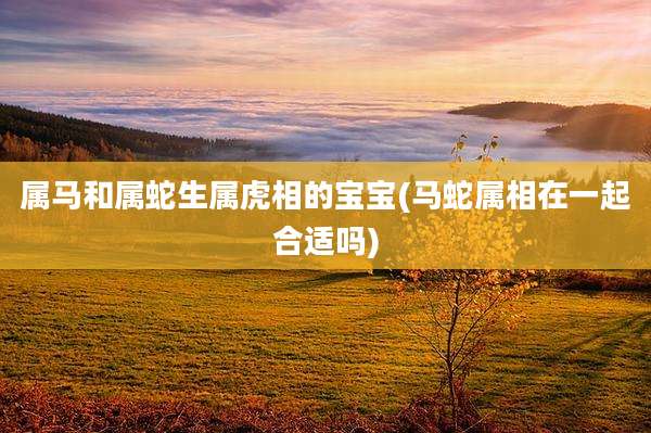 属马和属蛇生属虎相的宝宝(马蛇属相在一起合适吗)