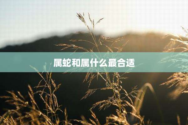 属蛇和属什么最合适