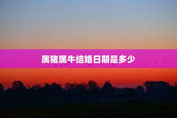 属猪属牛结婚日期是多少