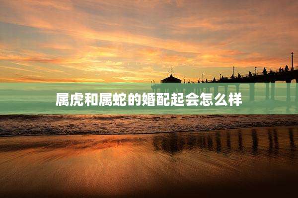 属虎和属蛇的婚配起会怎么样