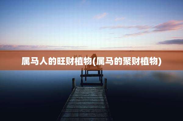 属马人的旺财植物(属马的聚财植物)