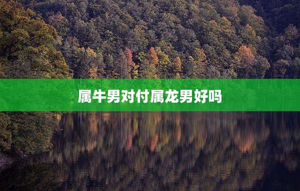 属牛男对付属龙男好吗