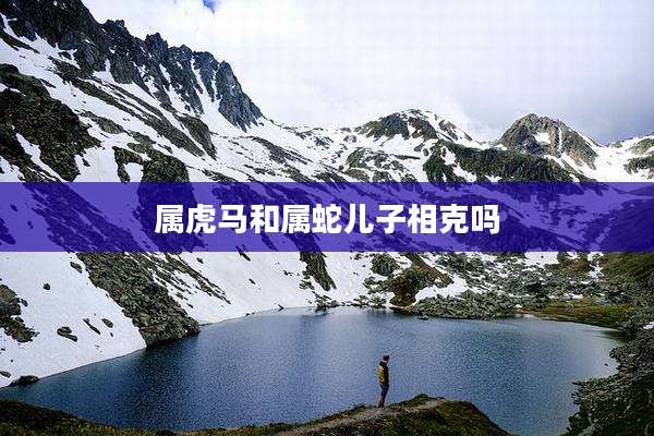 属虎马和属蛇儿子相克吗