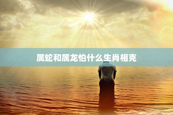 属蛇和属龙怕什么生肖相克