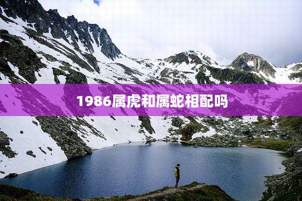 1986属虎和属蛇相配吗