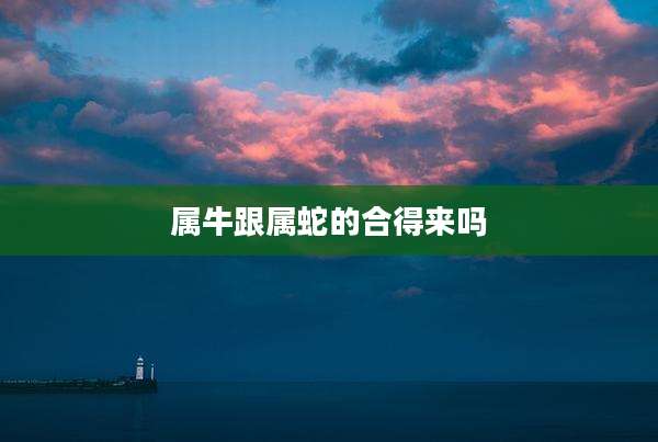 属牛跟属蛇的合得来吗