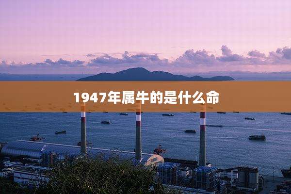 1947年属牛的是什么命