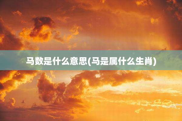 马数是什么意思(马是属什么生肖)