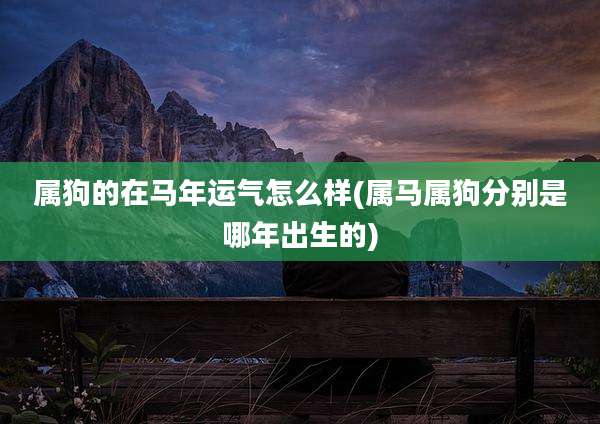 属狗的在马年运气怎么样(属马属狗分别是哪年出生的)
