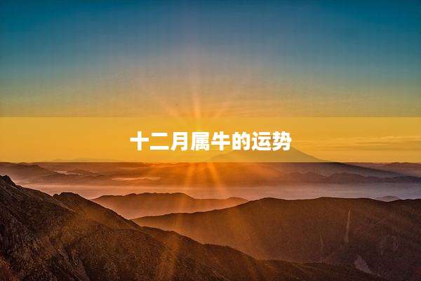 十二月属牛的运势