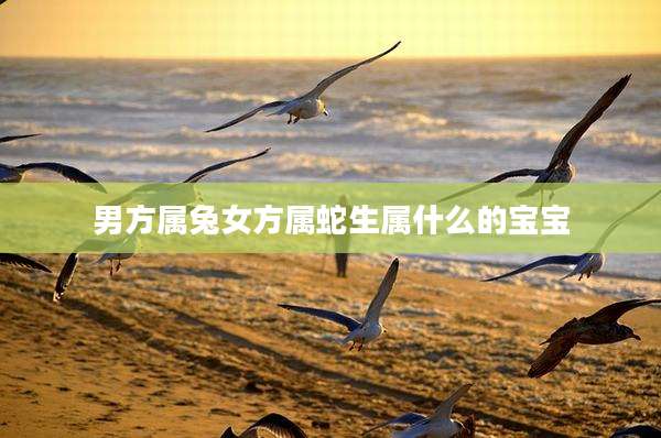 男方属兔女方属蛇生属什么的宝宝