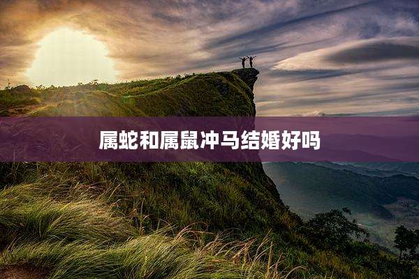 属蛇和属鼠冲马结婚好吗