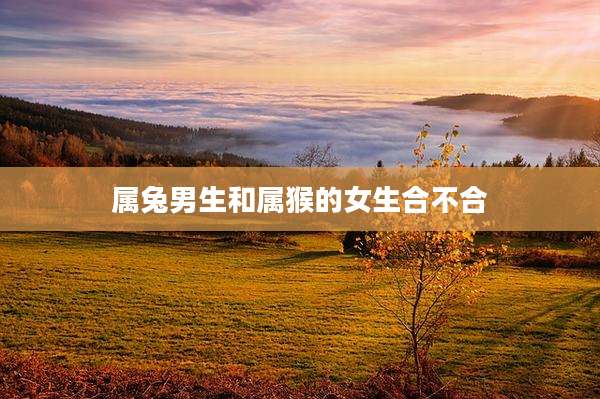 属兔男生和属猴的女生合不合