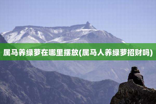 属马养绿萝在哪里摆放(属马人养绿萝招财吗)