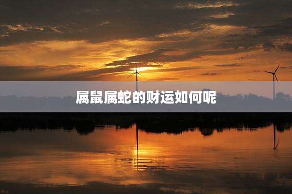 属鼠属蛇的财运如何呢