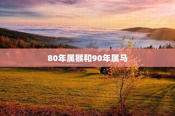 80年属猴和90年属马