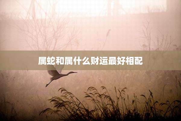 属蛇和属什么财运最好相配