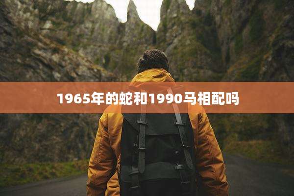 1965年的蛇和1990马相配吗