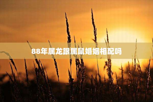 88年属龙跟属鼠婚姻相配吗