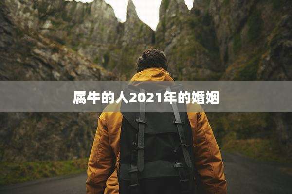 属牛的人2021年的婚姻