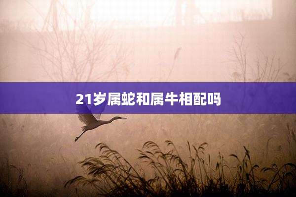 21岁属蛇和属牛相配吗