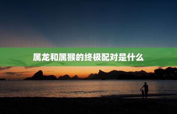 属龙和属猴的终极配对是什么