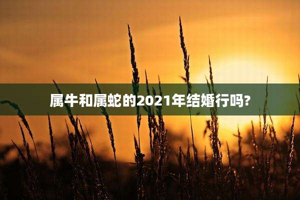 属牛和属蛇的2021年结婚行吗?