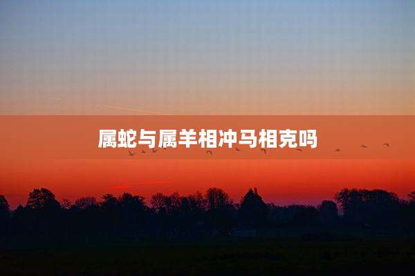 属蛇与属羊相冲马相克吗