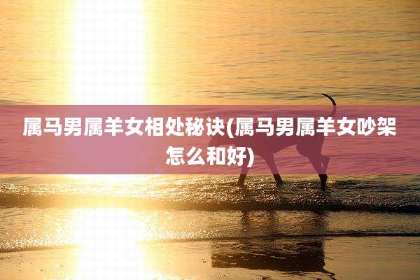 属马男属羊女相处秘诀(属马男属羊女吵架怎么和好)