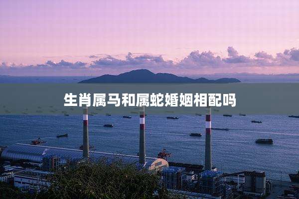 生肖属马和属蛇婚姻相配吗