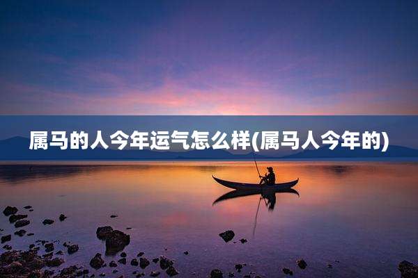 属马的人今年运气怎么样(属马人今年的)