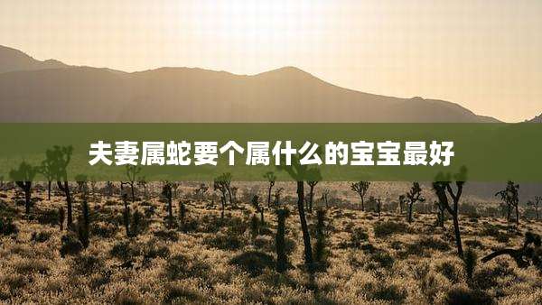 夫妻属蛇要个属什么的宝宝最好