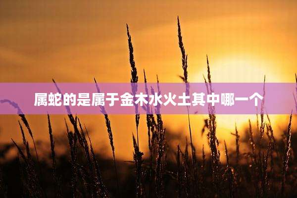 属蛇的是属于金木水火土其中哪一个