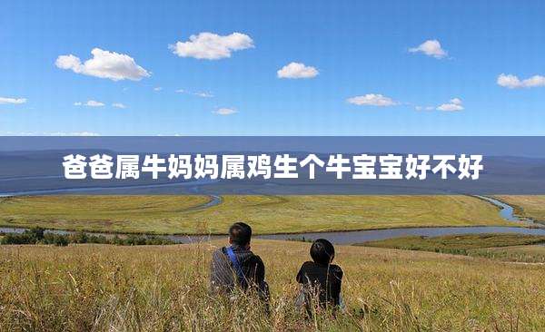 爸爸属牛妈妈属鸡生个牛宝宝好不好