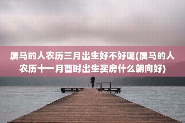 属马的人农历三月出生好不好呢(属马的人农历十一月酉时出生买房什么朝向好)