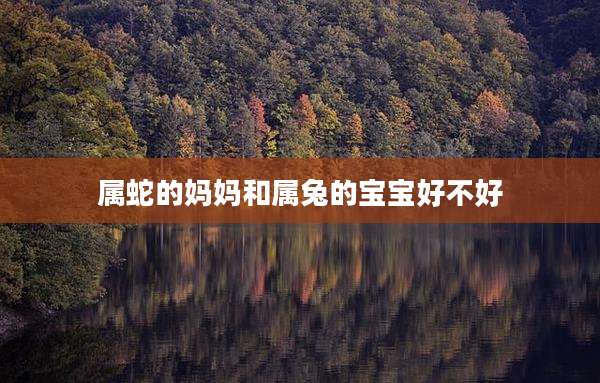 属蛇的妈妈和属兔的宝宝好不好