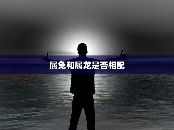 属兔和属龙是否相配