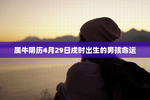 属牛阴历4月29日戌时出生的男孩命运